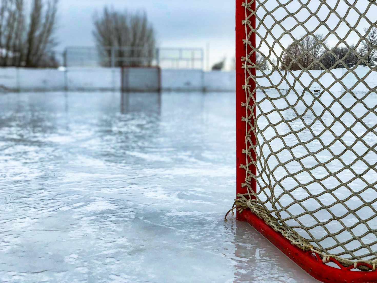The Rink Report: Insights for Volunteers